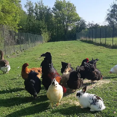 La Maison Ronde Et Ses 2 Cahutes