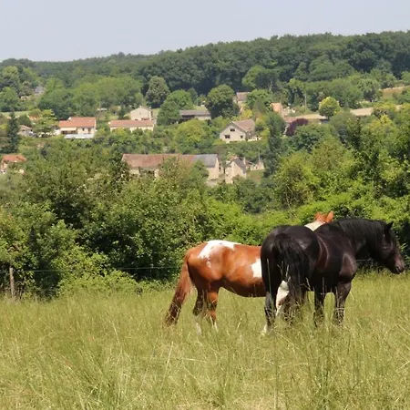 La Maison Ronde Et Ses 2 Cahutes Nyaraló *
