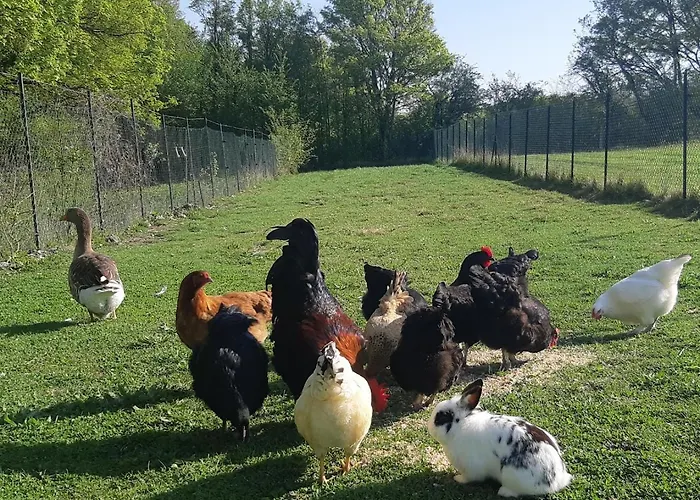 La Maison Ronde Et Ses 2 Cahutes